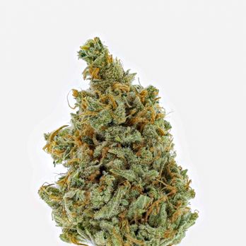 Life Is Good Healing - Super silver Haze - Cannabis Clinics Near Me Life Is Good Healing - Super silver Haze - Cannabis Clinics Near Me