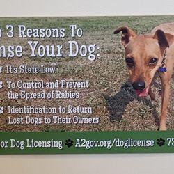 best affordable vet near me