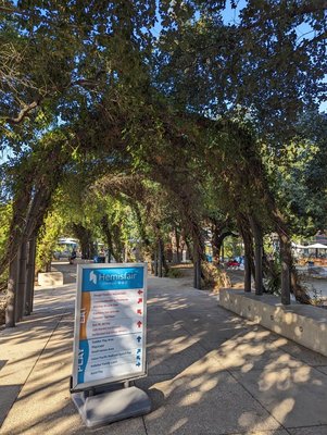 Yanaguana Garden at Hemisfair by null