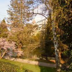 Appart-Hotel Prinz - Kurpark Bad Wildungen, Schwanenteich unterhalb Fürstenhof