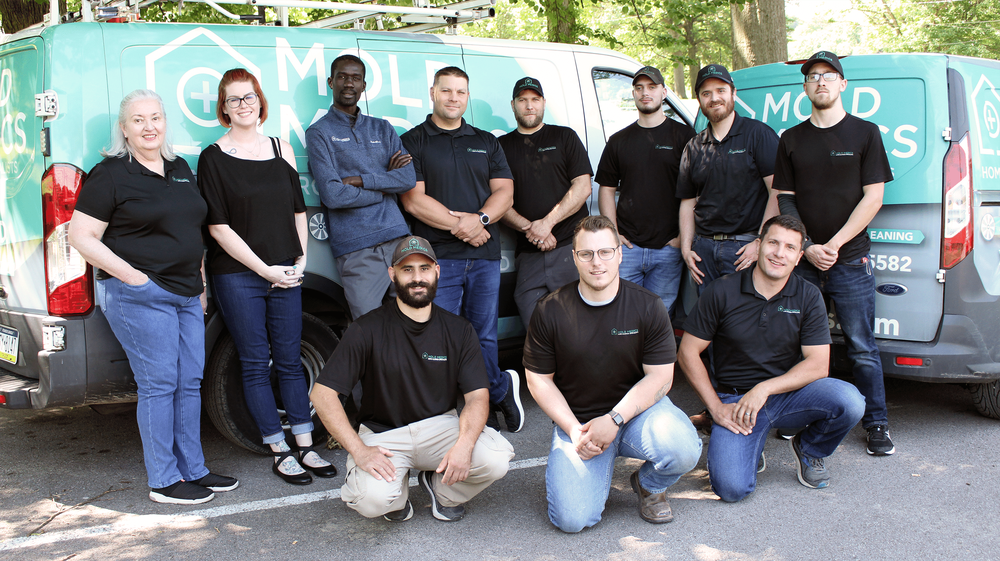 Mold Medics - mold inspector in Carnegie, PA