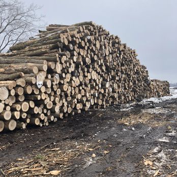 Best Burn Firewood - A pile of firewood logs - Firewood Near Me - New Berlin, Wisconsin Best Burn Firewood - A pile of firewood logs - Firewood Near Me - New Berlin, Wisconsin