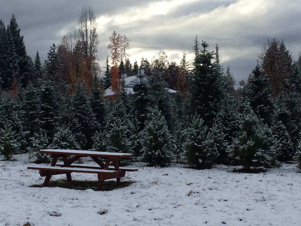 HACIENDA ORCHARDS 18 Reviews 2900 Barkley Rd, Camino, CA Yelp