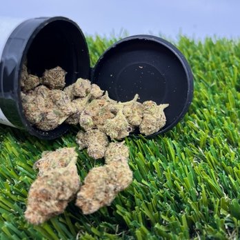 Kush Gardens - Every Day Pre - Pack 1/2 ounce deal. The best price out the door for a 1/2 oz. Strains change often so stop by and check them out - Cannabis Dispensaries Near Me - De Beque, Colorado Kush Gardens - Every Day Pre - Pack 1/2 ounce deal. The best price out the door for a 1/2 oz. Strains change often so stop by and check them out - Cannabis Dispensaries Near Me - De Beque, Colorado