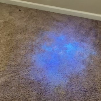 Carpet Doctor - Carpet Cleaning Near Me - San Ramon, California
