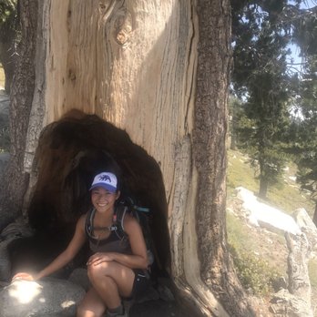 Mount San Jacinto State Park - Tree hole! About the halfway marker. - Parks Near Me - Idyllwild, California