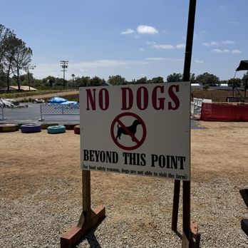 Mellano Farm Stand - No dogs in the fields - Farmers Market Near Me - Oceanside, California Mellano Farm Stand - No dogs in the fields - Farmers Market Near Me - Oceanside, California