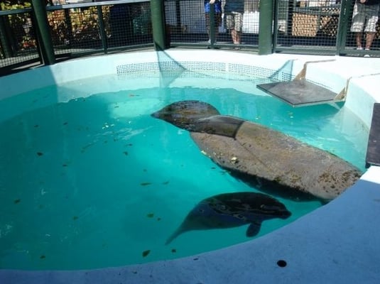 Miami Seaquarium by null