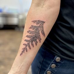 Sorry Mom Ink