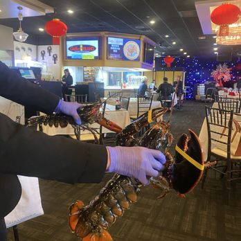 Golden Island - Do they show you the seafood or what? - Dim Sum Near Me - San Diego, California Golden Island - Do they show you the seafood or what? - Dim Sum Near Me - San Diego, California