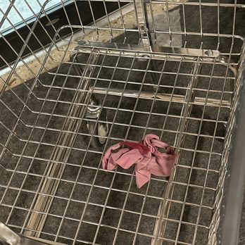 Louies Lounge & Laundromat - Dirty bloody drawers in the buggy? IDK if I want to come back! - Laundromat Near Me - Topeka, Kansas