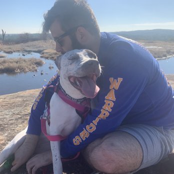 LifeLine Animal Project - Adopted pit bull mix on her first hike with new family - Animal Shelters Near Me - Atlanta, Georgia