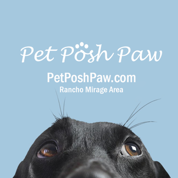 Pet Posh Paw - Dog Walkers Near Me Pet Posh Paw - Dog Walkers Near Me