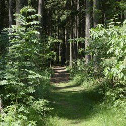 Camping Steingrubenhof