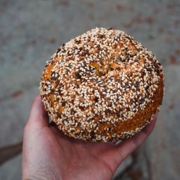 Everything bagel Everything bagel