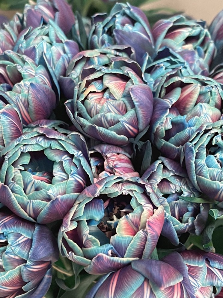 GLOBAL WHOLESALE FLOWERS BROOKLYN Updated September 2024 1019