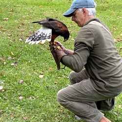 Green Mountain Falconry School
