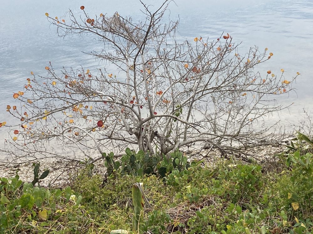 Historic Spanish Point