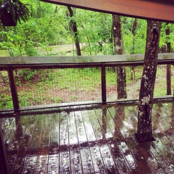 Chicot State Park - Great spots! Some of the south campground spots have little decks. This park is beautiful and the staff are super nice! - Parks Near Me - Ville Platte, Louisiana