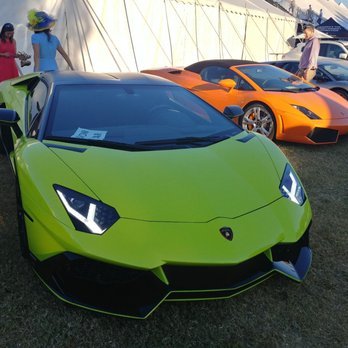 Bentley Polo Party - Amateur Sports Teams Near Me - Scottsdale, Arizona