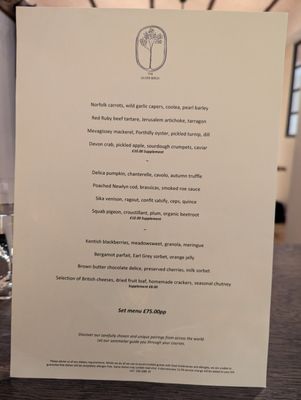 The Silver Birch by null