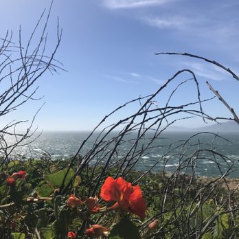 Lands End - Parks Near Me - San Francisco, California Lands End - Parks Near Me - San Francisco, California