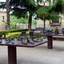 Photo of Monumento Viajeros