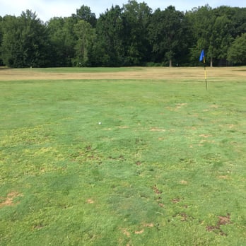 Palmer Park Golf Course - Green on hole #5 (July 2016) - Golf Near Me - Detroit, Michigan Palmer Park Golf Course - Green on hole #5 (July 2016) - Golf Near Me - Detroit, Michigan