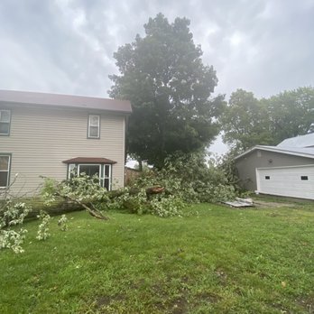 Pfister Tree Service - The tree that fell. - Tree Services Near Me Pfister Tree Service - The tree that fell. - Tree Services Near Me