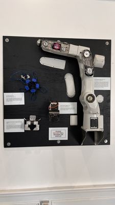 CaliExpress by Flippy by null