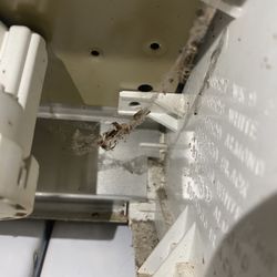 Andrade's Appliance Repair - Inside the switch panel