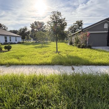 Nxt Level - Before picture of the property. - Landscaping Near Me Nxt Level - Before picture of the property. - Landscaping Near Me