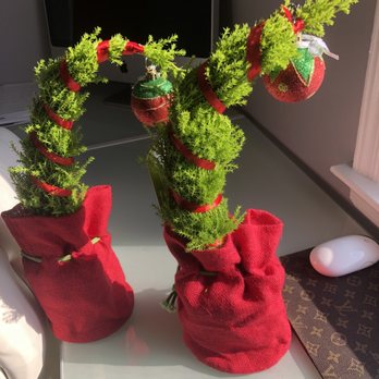 Trader Joe's - Grump tree - Grocery Near Me - Oceanside, New York