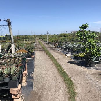 JM Nursery - Nurseries & Gardening Near Me - Miami, Florida