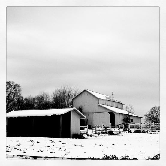 BACCARAT FARMS 14563 Wolf Rd, Grass Valley, California Pet Services Phone Number Yelp