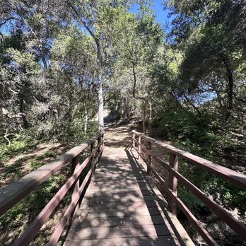 Conejo Valley Botanic Garden - The bridge to nowhere - Botanical Gardens Near Me - Thousand Oaks, California