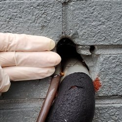 MVPest Solutions - Sometimes the entry point is very large and very visable
