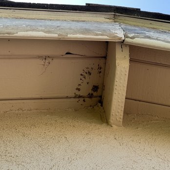 CertaPro Painters of Orange County - They said this was ready to paint. Dirty eaves they were going to paint over and unprimed fascia boards - Painters Near Me - Orange, California CertaPro Painters of Orange County - They said this was ready to paint. Dirty eaves they were going to paint over and unprimed fascia boards - Painters Near Me - Orange, California