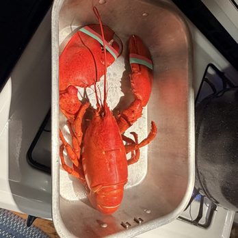 Henry Allen’s Seafood - Seafood Markets Near Me - Harpswell, Maine