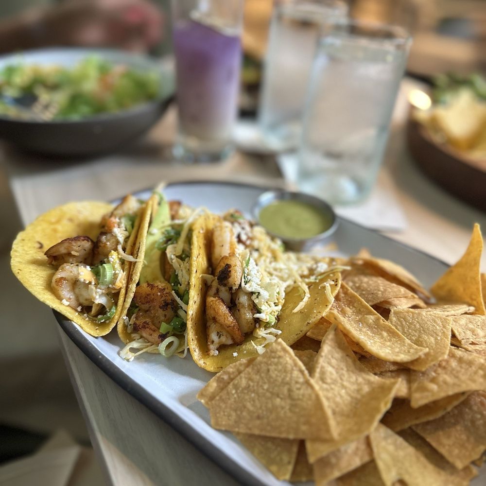 Palma - Shrimp Tacos - Whiskey Bars Near Me - Dallas, Texas Palma - Shrimp Tacos - Whiskey Bars Near Me - Dallas, Texas