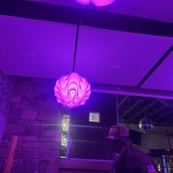 Atomic Koi