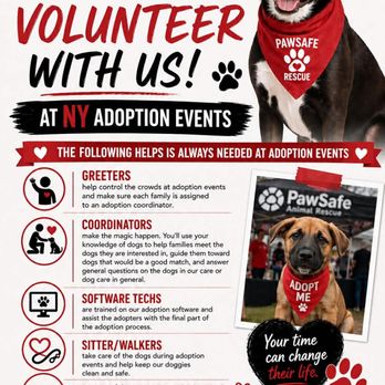 PawSafe Animal Rescue - Volunteer with PawSafe - Pet Adoption Near Me - Eastford, Connecticut PawSafe Animal Rescue - Volunteer with PawSafe - Pet Adoption Near Me - Eastford, Connecticut