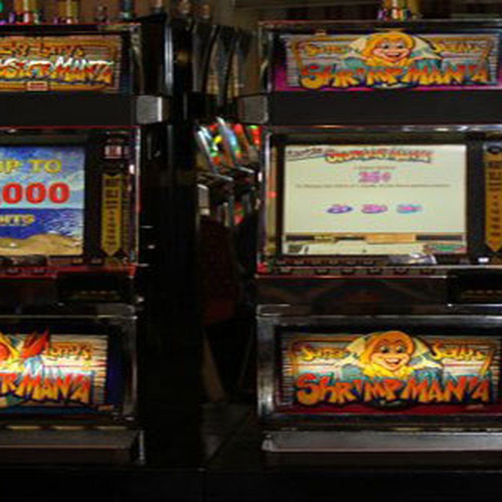 THE BEST 10 Casinos in SPRING HILL, FL Last Updated July 2024 Yelp㊙