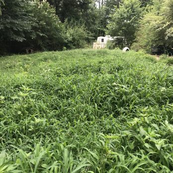 Georgia Grounds Management - Lawn Services Near Me - Lawrenceville, Georgia Georgia Grounds Management - Lawn Services Near Me - Lawrenceville, Georgia