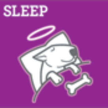 What A Good Dog - SLEEP! - Pet Training Near Me - Malvern, Pennsylvania What A Good Dog - SLEEP! - Pet Training Near Me - Malvern, Pennsylvania