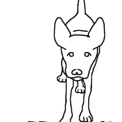 Elissa Cline Dog Training