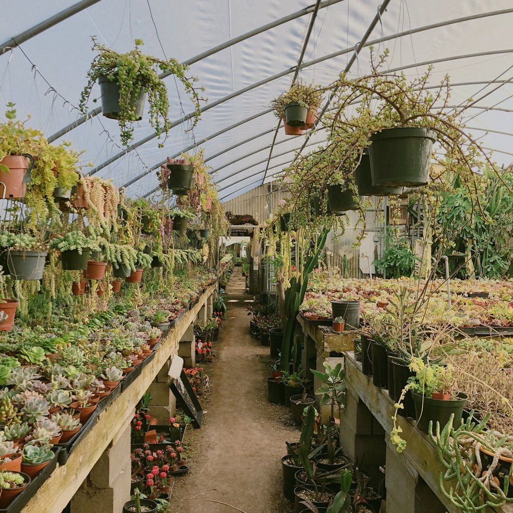 California Cactus Ranch - Nurseries & Gardening Near Me - Reseda, California California Cactus Ranch - Nurseries & Gardening Near Me - Reseda, California