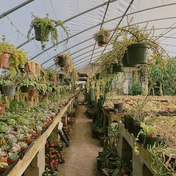 California Cactus Ranch - Nurseries & Gardening Near Me - Reseda, California