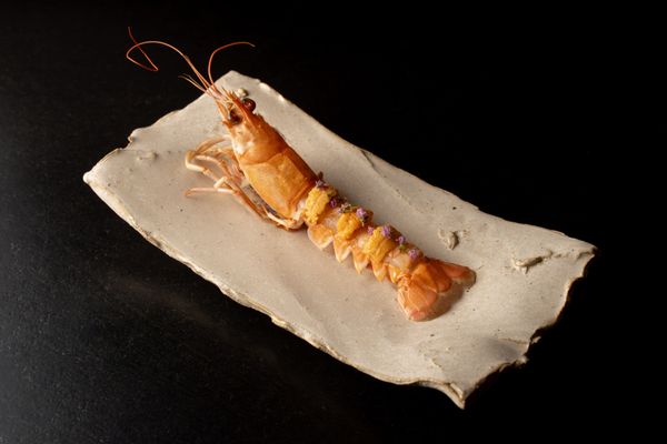 Jōji by null Jōji by null