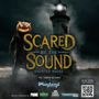 Photo of Scared by the Sound